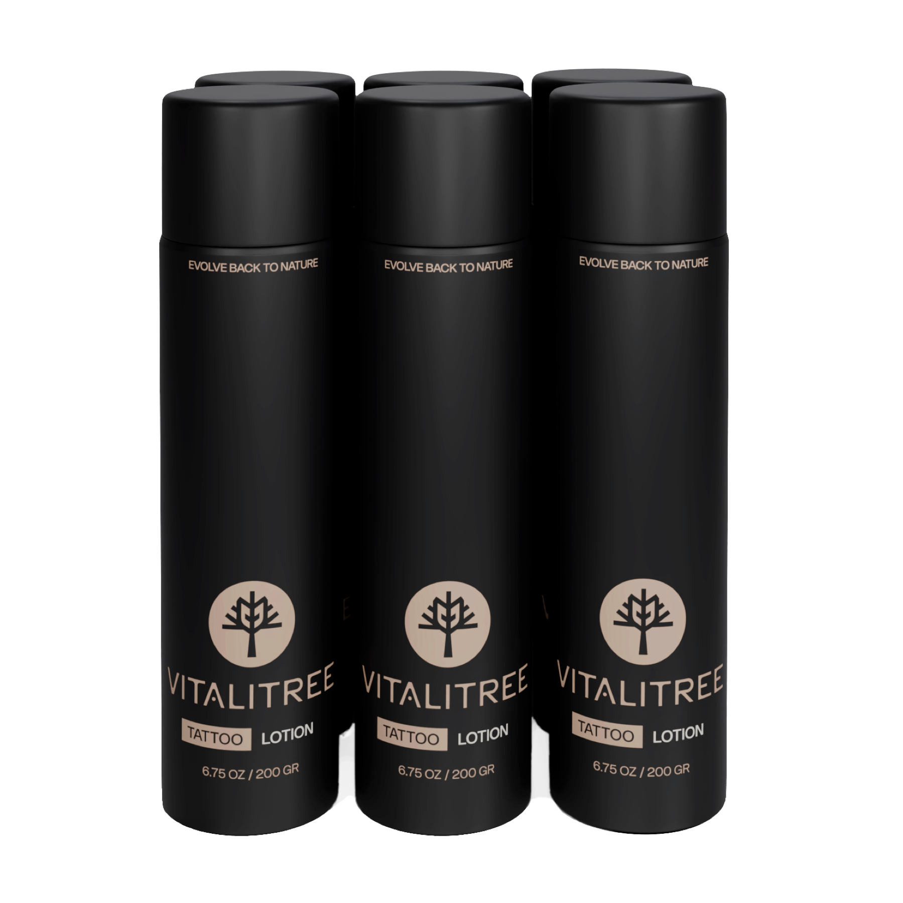 Tattoo Lotion (large) 6ct Case